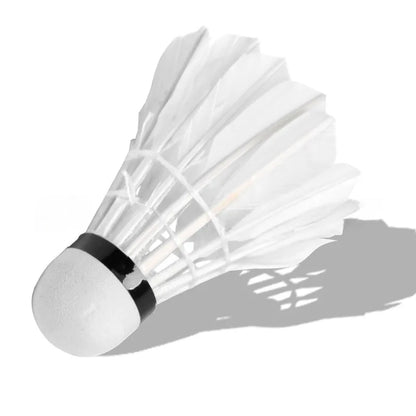 AeroSwift Badminton Shuttlecock Set